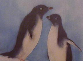 Adélie Penguins, from the Antarctica Collection