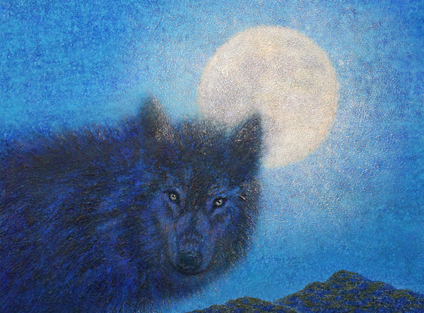Black Wolf by Peter C. Stone